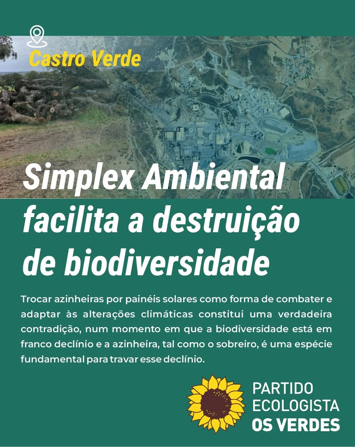 Partido Ecologista Os Verdes