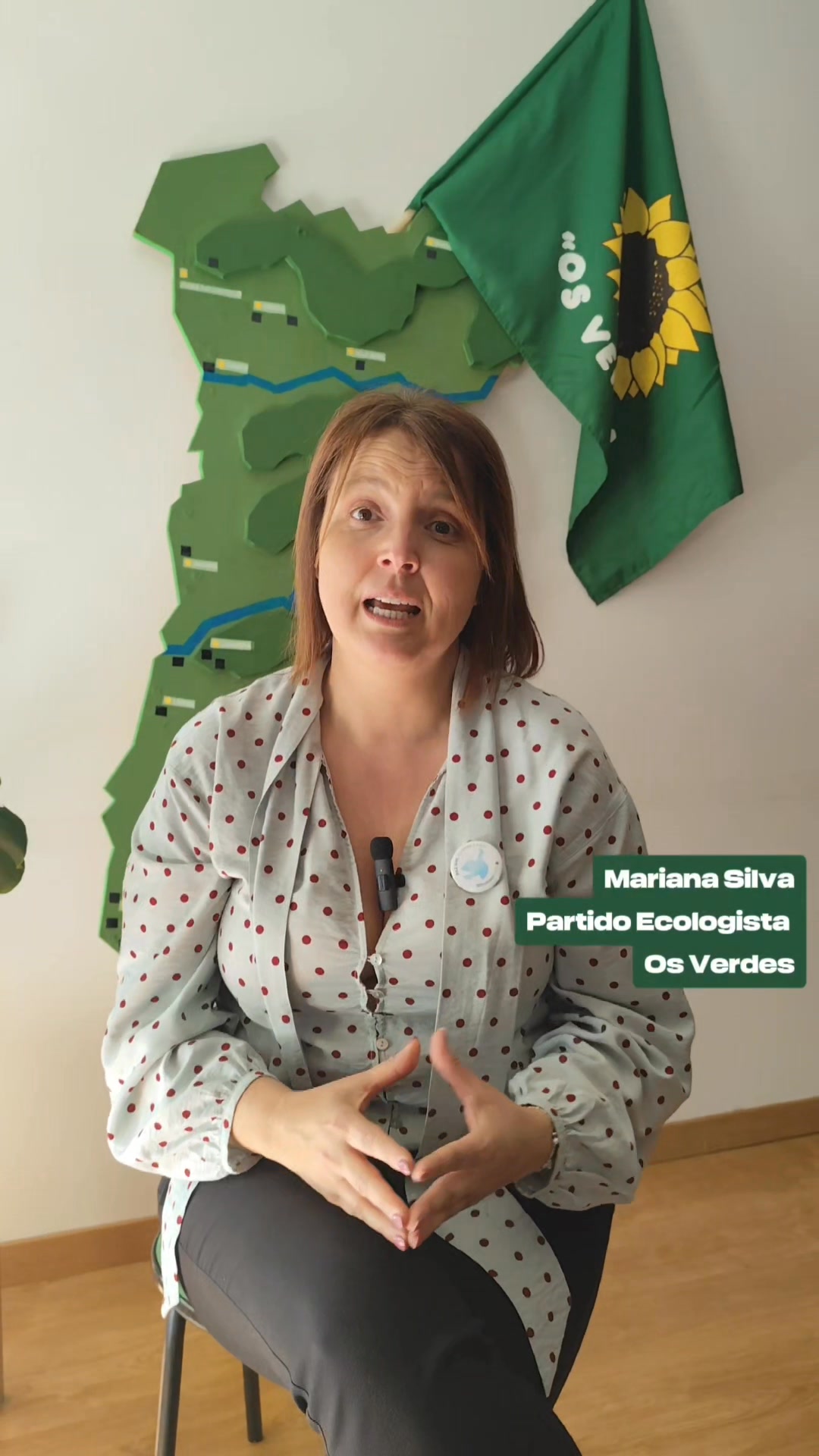 Partido Ecologista Os Verdes