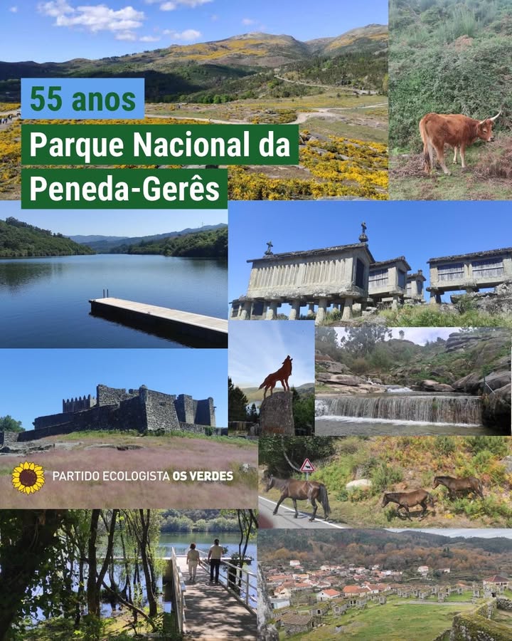 Partido Ecologista Os Verdes