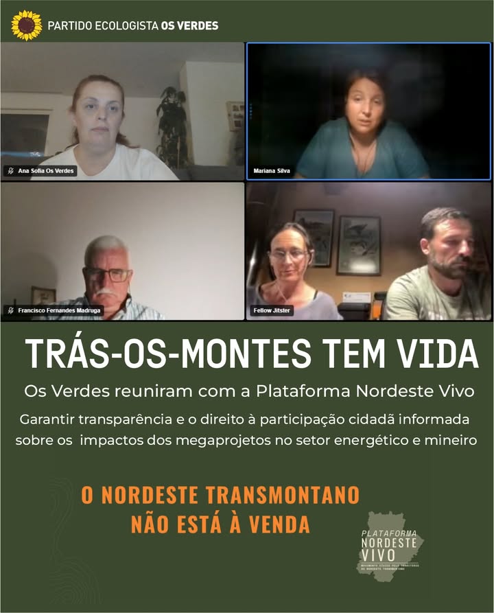 Partido Ecologista Os Verdes