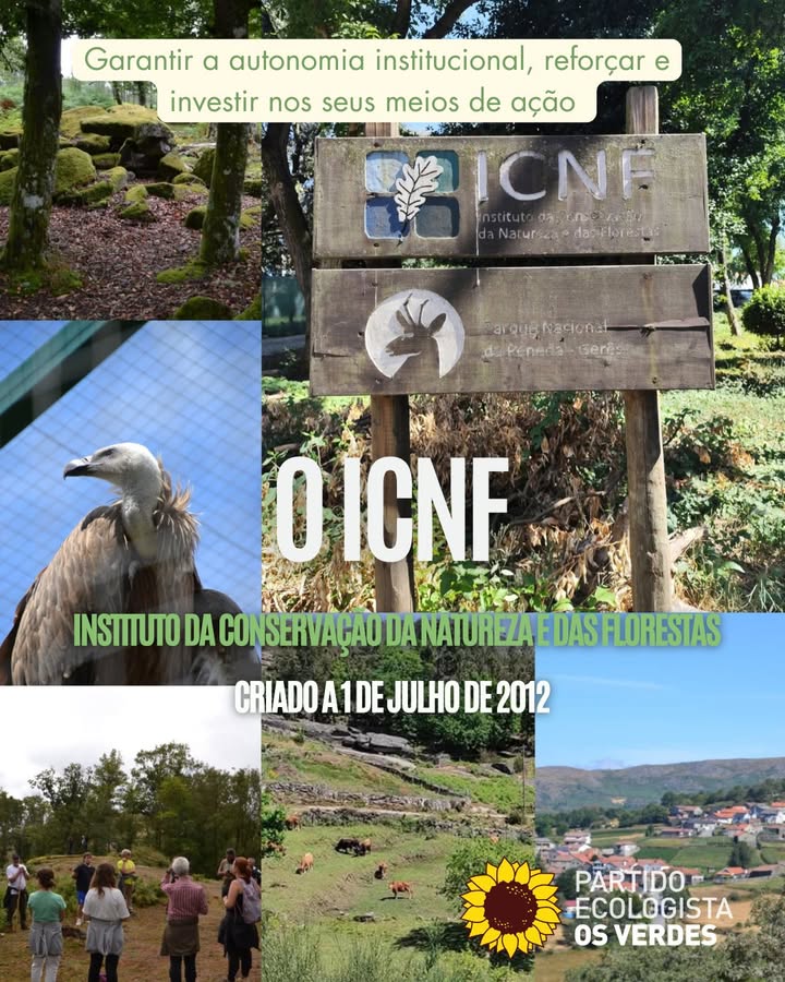 Partido Ecologista Os Verdes