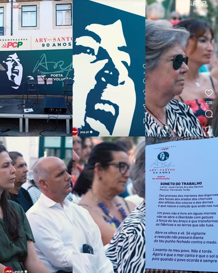 Partido Ecologista Os Verdes