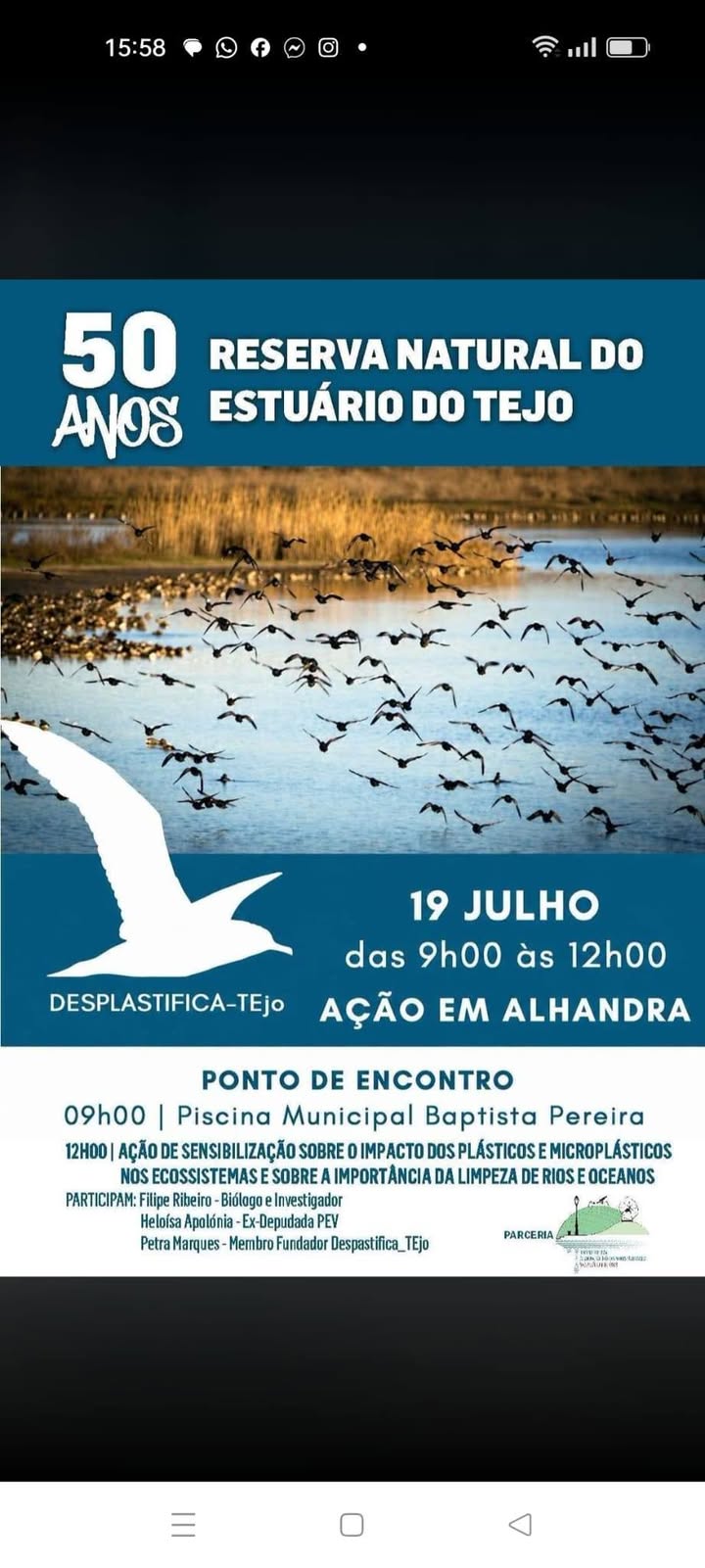 Partido Ecologista Os Verdes