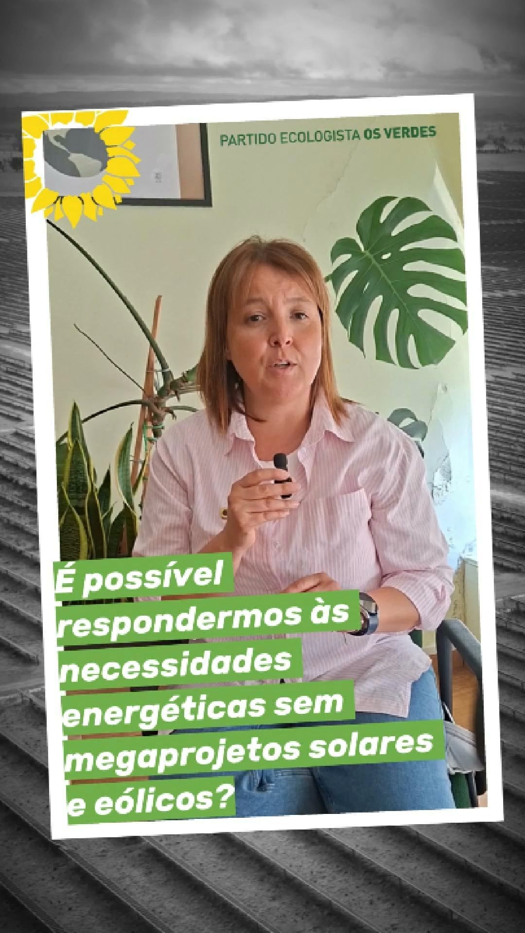Partido Ecologista Os Verdes