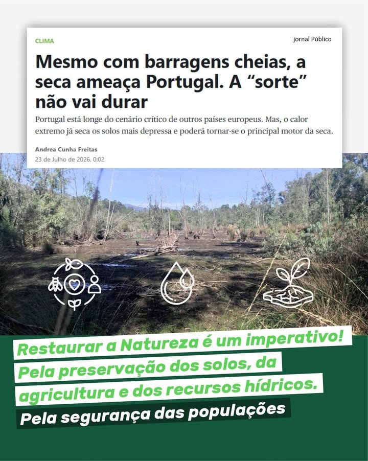 Partido Ecologista Os Verdes