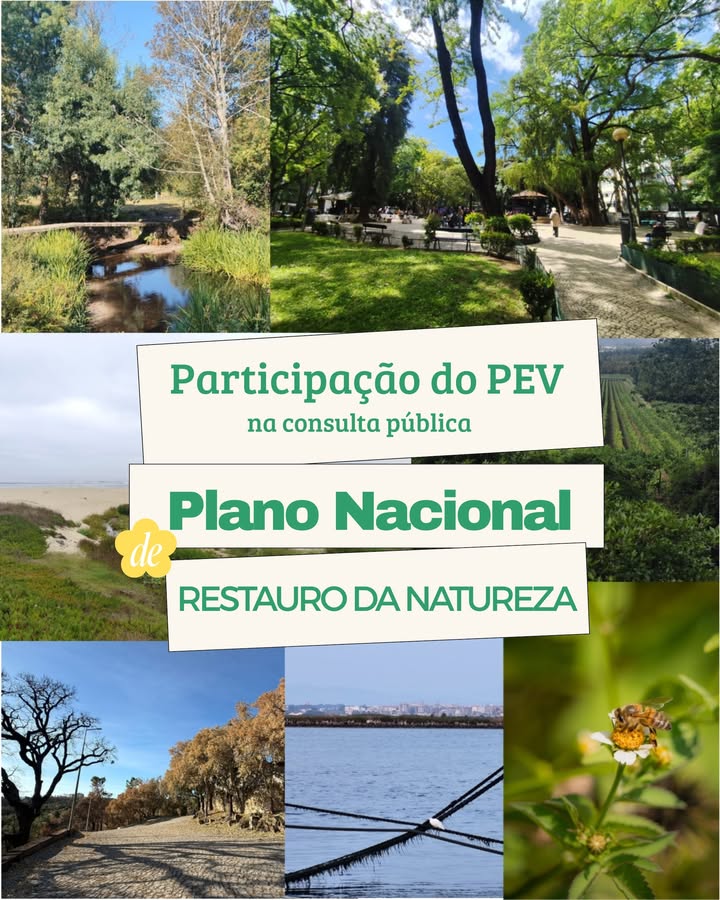 Partido Ecologista Os Verdes