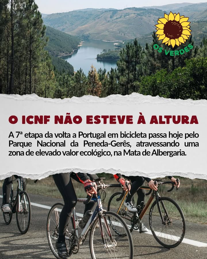Partido Ecologista Os Verdes