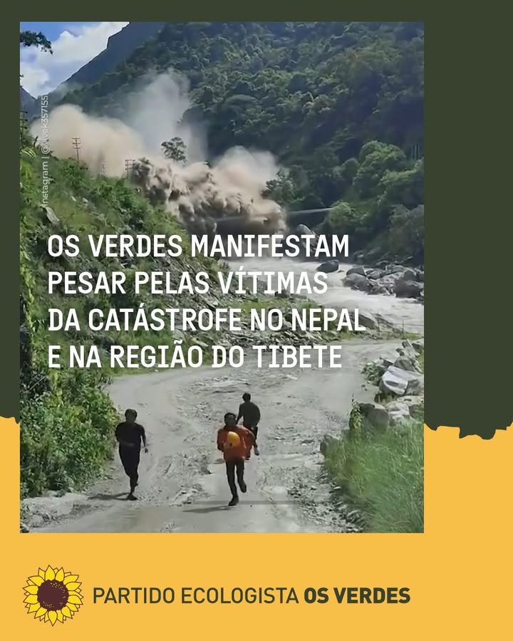 Partido Ecologista Os Verdes