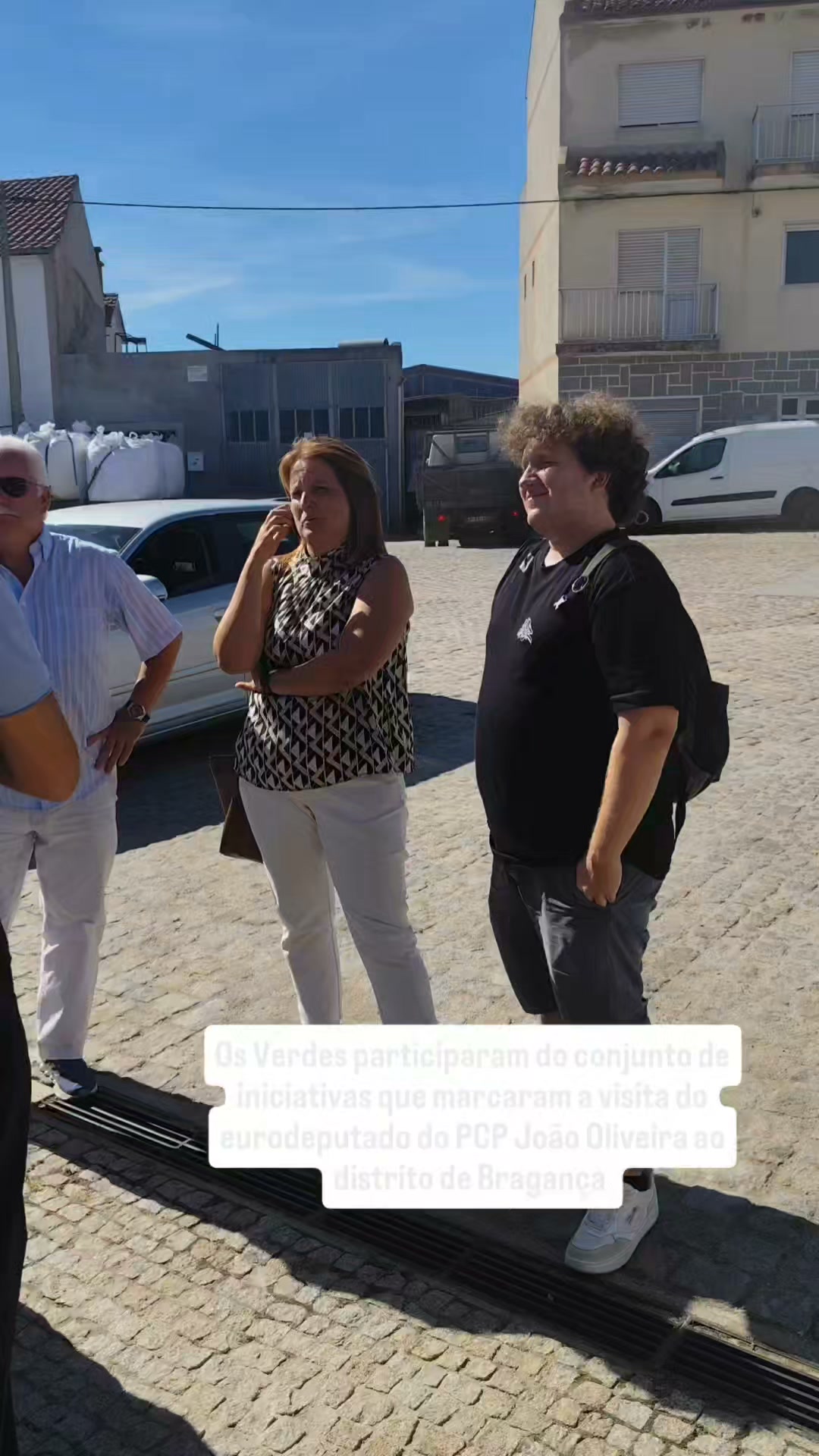 Partido Ecologista Os Verdes